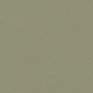 Click 333355 Rosemary Green