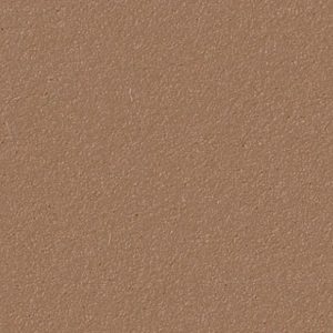 Bulletin Board 2166 Nutmeg Spice