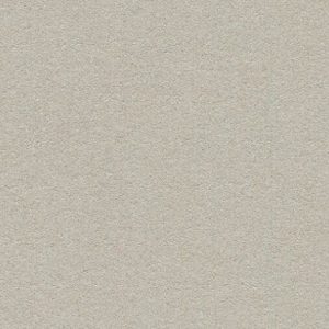 Bulletin Board 2206 Oyster Shell