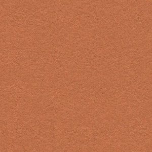 Bulletin Board 2207 Cinnamon Bark