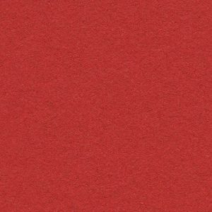 Bulletin Board 2210 Hot Salsa
