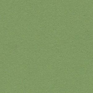 Bulletin Board 2213 Baby Lettuce