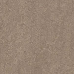 Decibe 324635 Shrike
