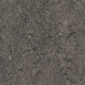 Acoustic 33048 Graphite
