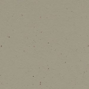 Cocoa 3596 Hummus