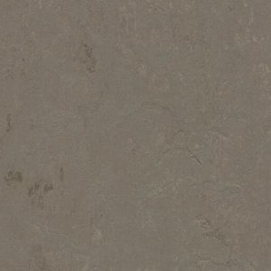 Concrete 3705/370535 meteorite