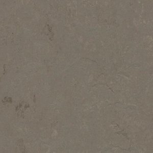 Decibel 370535 meteorite