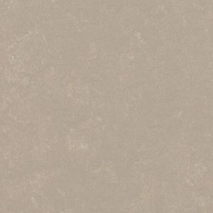Decibel 370835 Fossil