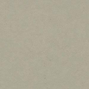 Decibel 372435 Orbit