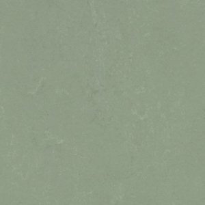 Concrete 3750 Pine Forest