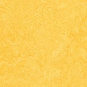 Colour t3251 Lemon Zest