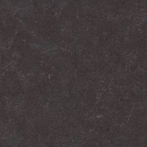 Shade t3707 Black Hole
