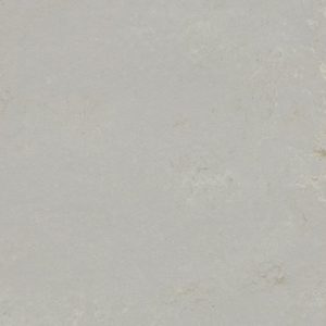 Shade t3717 Neptune